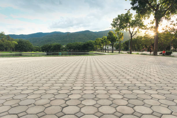 Best Custom Driveway Pavers  in Sumner, IL