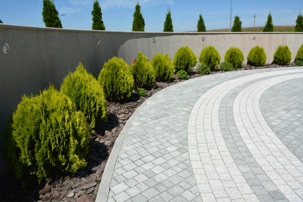 Professional Driveway Pavers in Sumner, IL